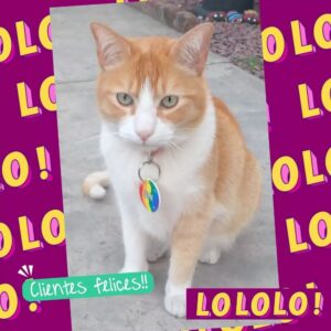 WhatsApp Image 2026-03-04 at 20.43.07 (1)