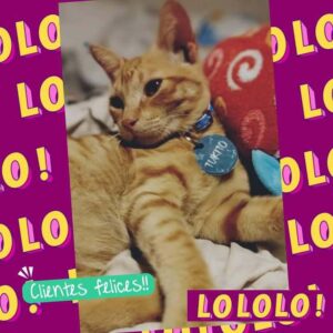 WhatsApp Image 2026-03-04 at 20.43.07 (2)