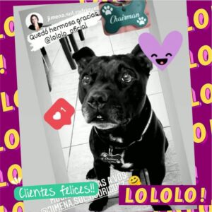 WhatsApp Image 2026-03-04 at 20.43.07 (3)