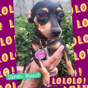 WhatsApp Image 2026-03-04 at 20.43.07