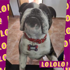 WhatsApp Image 2026-03-04 at 20.43.07 (4)