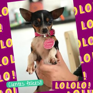 WhatsApp Image 2026-03-04 at 20.45.17 (1)