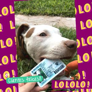 WhatsApp Image 2026-03-04 at 20.45.17