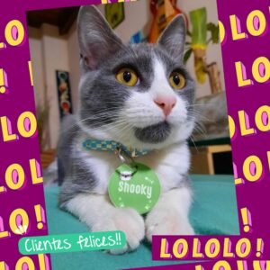 WhatsApp Image 2026-03-04 at 20.45.18 (1)