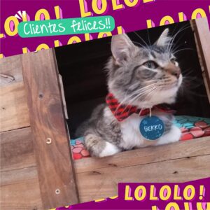 WhatsApp Image 2026-03-04 at 20.45.18 (2)