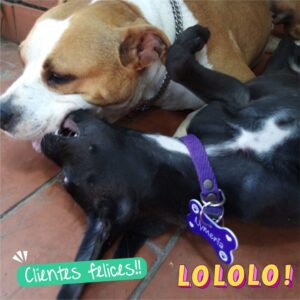 WhatsApp Image 2026-03-04 at 20.45.18